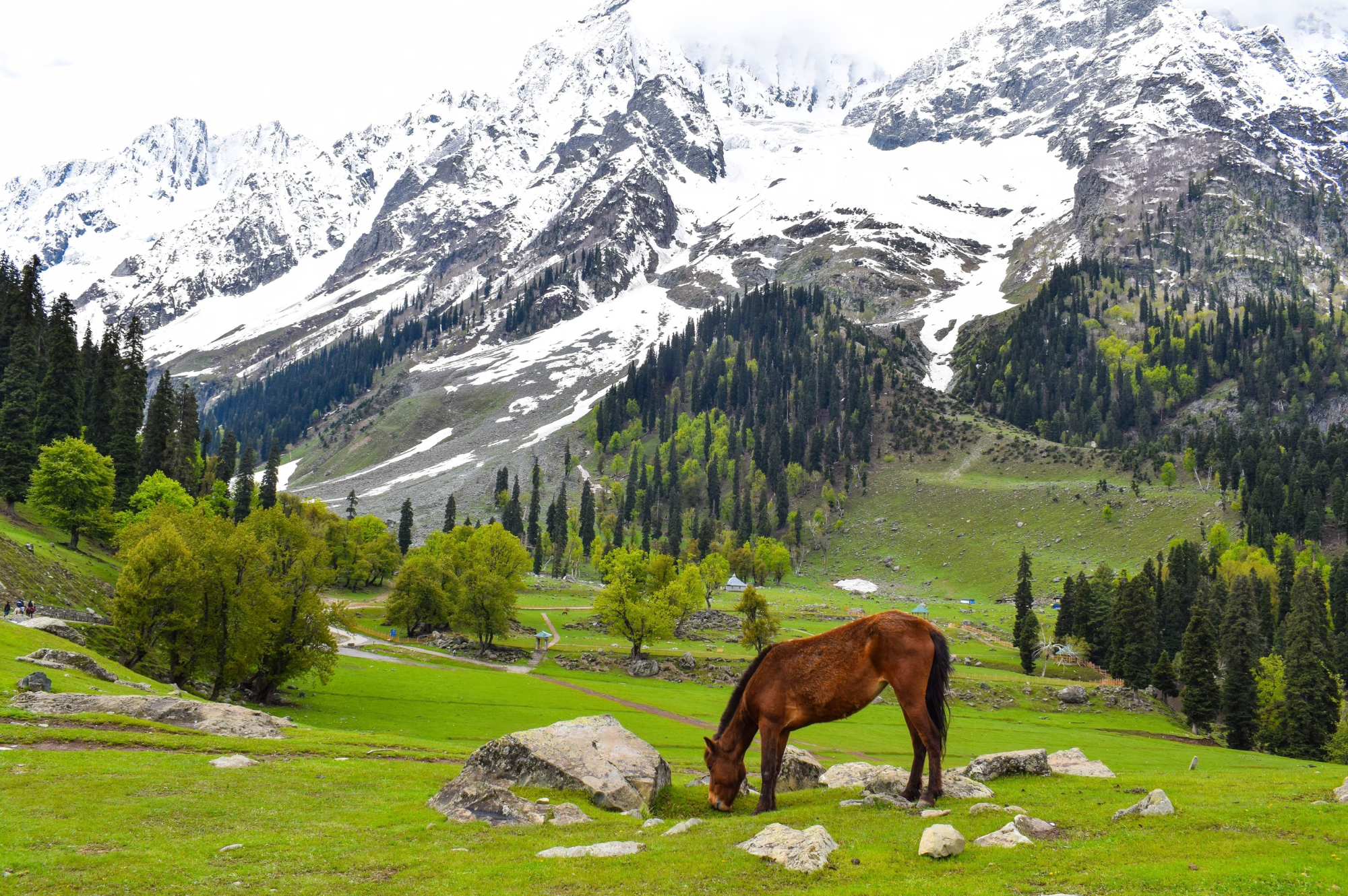 Beautyofkashmirhimalya